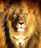 /album/galeria-de-fotos/imagescalyongv-jpg/